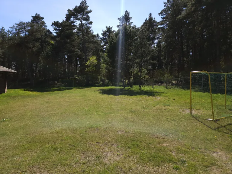 Zdjęcie 8